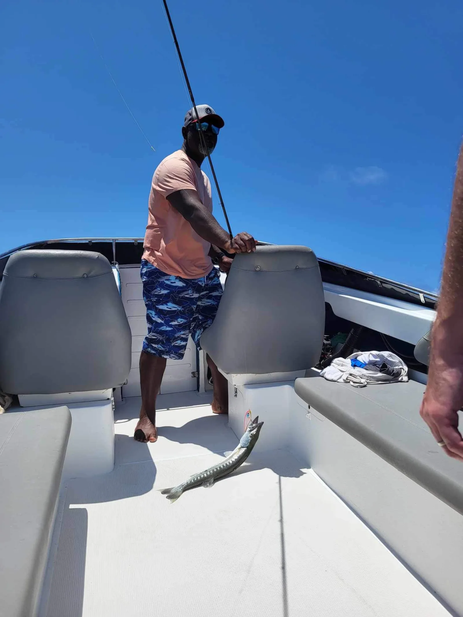 Barracuda fraîchement pêché à bord